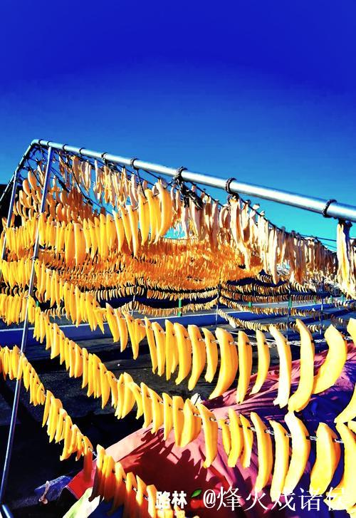 51吃瓜趣闻大合集 51吃瓜趣闻大合集